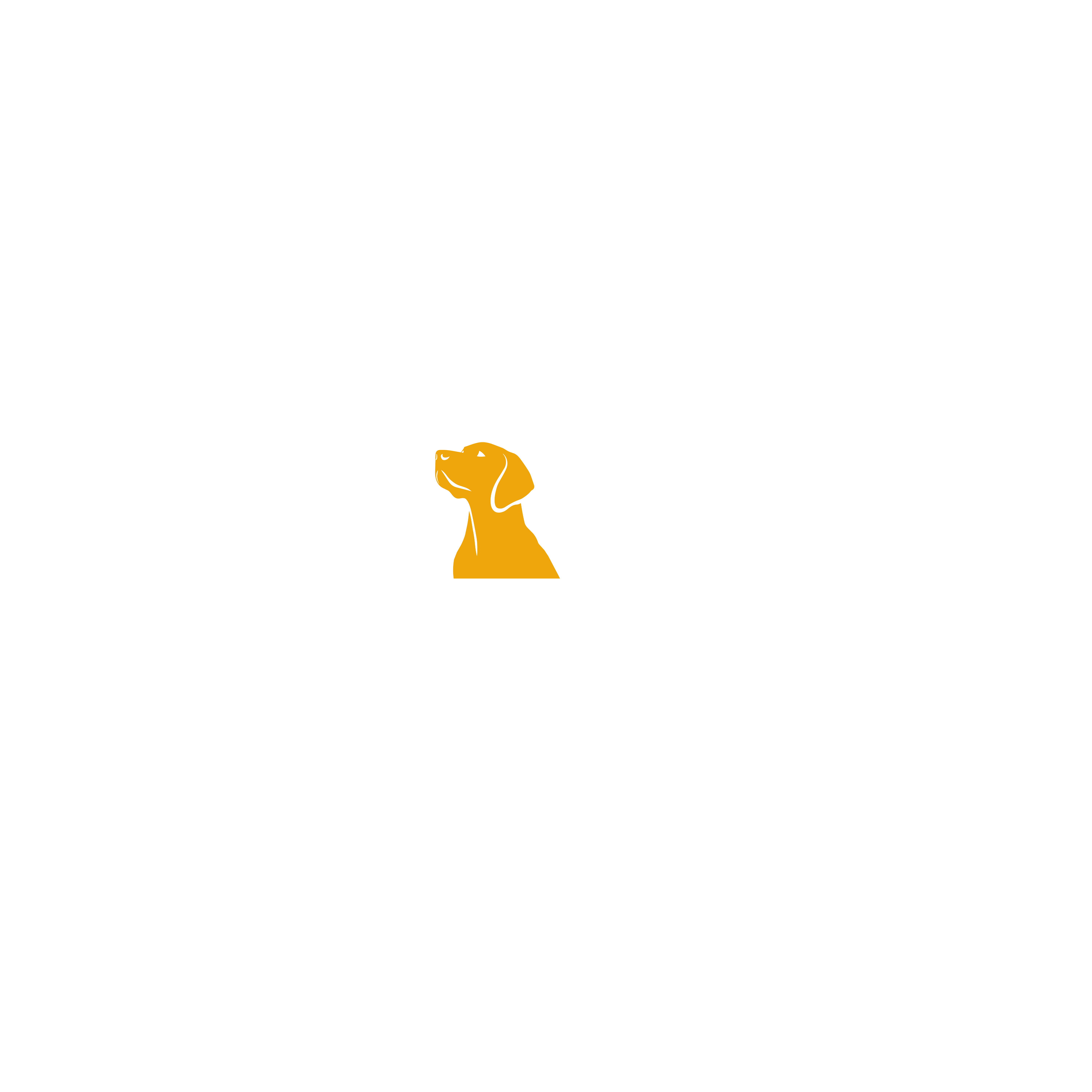 Luna Films